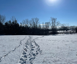 Michigan Properties For Sale