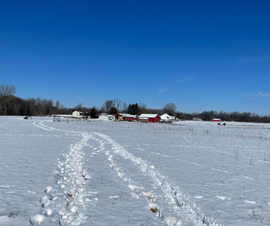 Michigan Properties For Sale