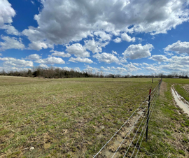 Michigan Properties For Sale