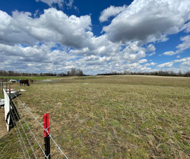 Michigan Properties For Sale