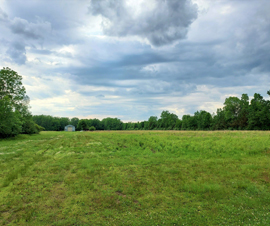 Birch Run 29