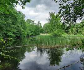 Michigan Properties For Sale