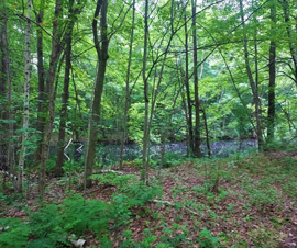 Michigan Properties For Sale
