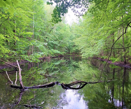 Michigan Properties For Sale