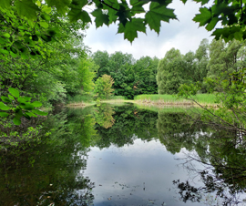 Michigan Properties For Sale