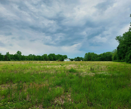 Michigan Properties For Sale