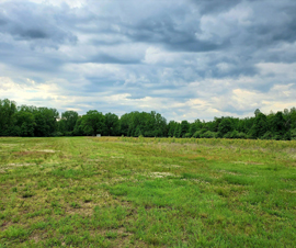 Michigan Properties For Sale