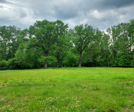 Michigan Properties For Sale