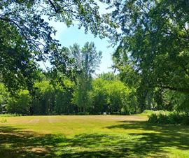 Birch Run 50