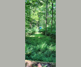 Michigan Properties For Sale