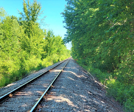 Michigan Properties For Sale
