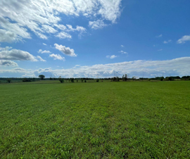 Michigan Properties For Sale
