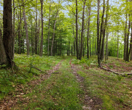 Michigan Properties For Sale