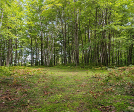 Michigan Properties For Sale