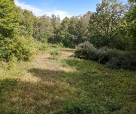 Michigan Properties For Sale