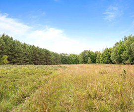 Michigan Properties For Sale