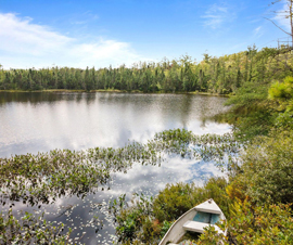 Michigan Properties For Sale