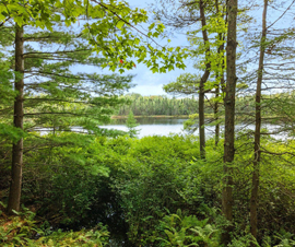 Michigan Properties For Sale