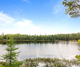 Michigan Properties For Sale