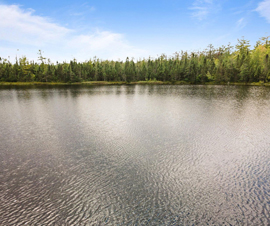 Michigan Properties For Sale