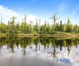 Michigan Properties For Sale