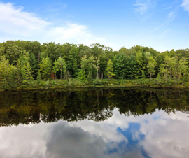 Michigan Properties For Sale