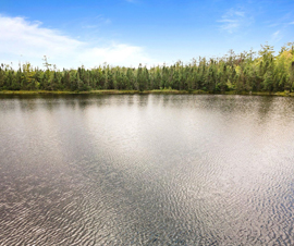 Michigan Properties For Sale
