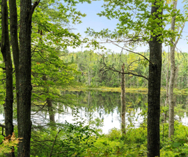 Michigan Properties For Sale