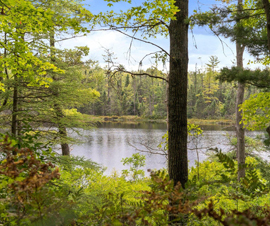 Michigan Properties For Sale