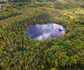 Michigan Properties For Sale