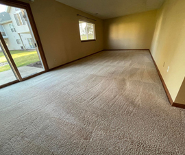 Michigan Properties For Sale