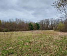 Michigan Properties For Sale