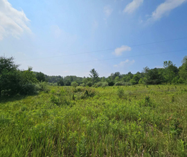 Alcona County 21