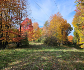 Ridges of Metamora