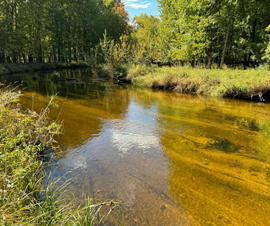 Michigan Properties For Sale