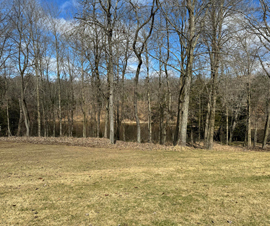 Michigan Properties For Sale