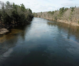 Michigan Properties For Sale