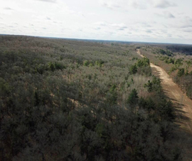 Michigan Properties For Sale