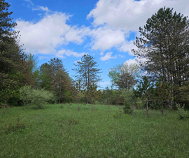 Big Pines Corner