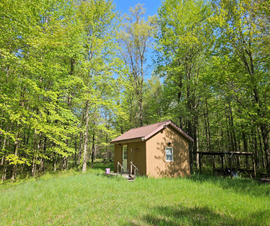 Midland Big Woods