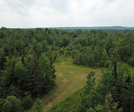 Michigan Properties For Sale