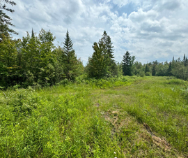 Michigan Properties For Sale