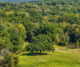 Michigan Properties For Sale