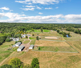 Michigan Properties For Sale