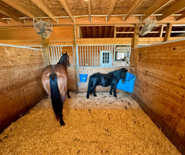 Michigan Properties For Sale