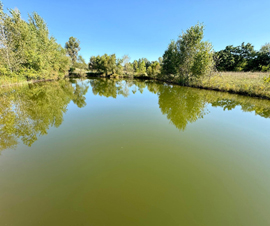 Michigan Properties For Sale