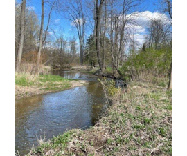 Michigan Properties For Sale