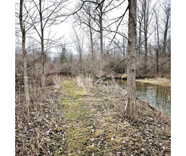 Michigan Properties For Sale