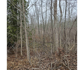 Michigan Properties For Sale