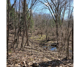 Michigan Properties For Sale